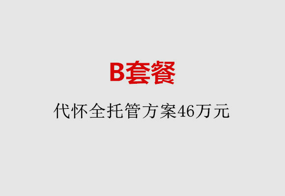 徐州B套餐：代怀全托管方案46万元